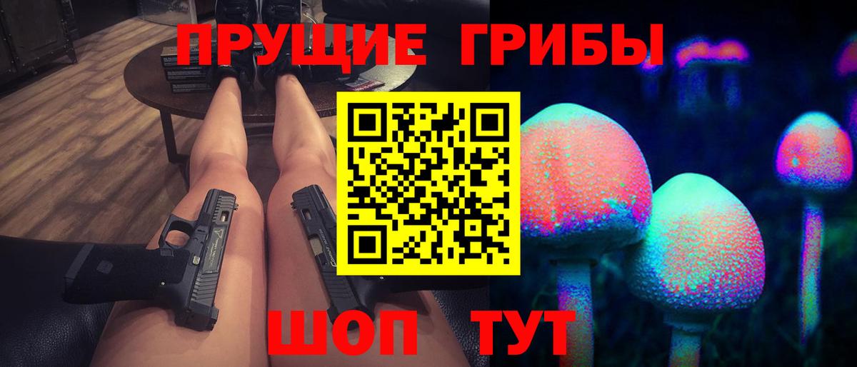 Камышин  Псилоцибиновые грибы MAGIC MUSHROOMS  даркнет сайт  Вход с VPN 